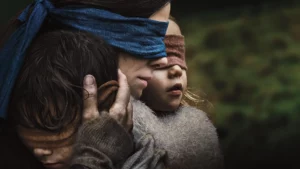 Netflix Bird Box