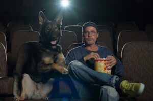 Heart of the Beast case study: A movie Night with Brad Pitt